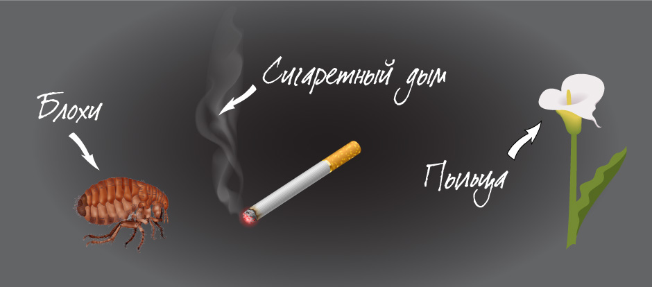 Аллергены